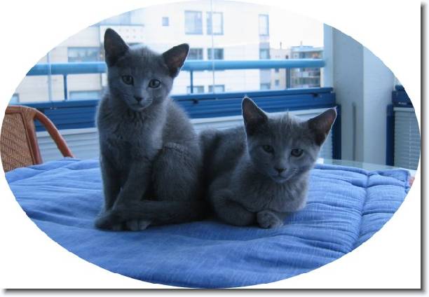 You have reached the last slide